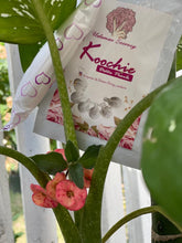 Load image into Gallery viewer, Koochie Detox Pearl